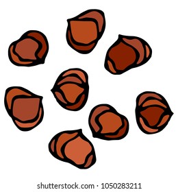 Whole Hazelnut Kernels. Healthy Snack. Fresh Farm Harvest Product. Vegetarian Food. Realistic Hand Drawn Illustration. Savoyar Doodle Style.