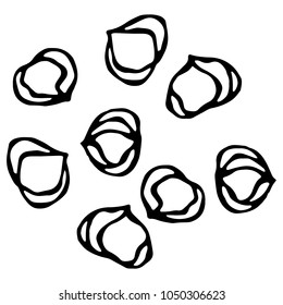 Whole Hazelnut Kernels. Healthy Snack. Fresh Farm Harvest Product. Vegetarian Food. Realistic Hand Drawn Illustration. Savoyar Doodle Style.