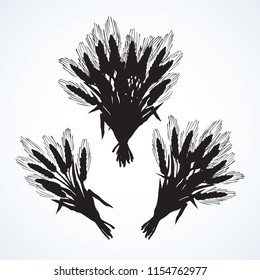Whole healthy ripe dry caryopsis plant stalk bundle on white backdrop. Dark ink hand drawn logo in art retro rural engraving cartoon graphic style. Closeup view
