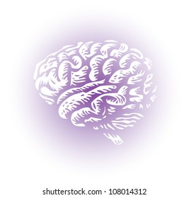 whole human brain isolated - illustration