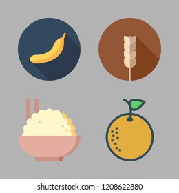 whole icon set. vector set about cereal, rice, orange and bananas icons set.