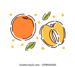 A whole juicy peach and half, a set of fruits and leaves. Fresh peaches are isolated on a white background. Decoration of juice or jam packaging.