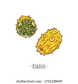 Whole kiwano and kiwano slice. Vector cartoon illustrations. Isolated objects on a white background. Hand-drawn style.
