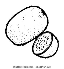 Whole kiwi fruit and half. Hand drawn doodle vector. Summer sweet berry of Actinidia plant. Seasonal vitamins. Fresh organic food. Juicy pulp in fluffy skin. Illustration line art element.