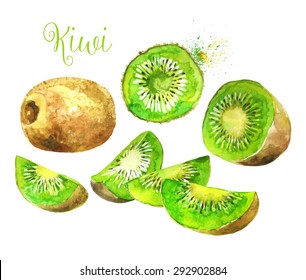 Whole Kiwi Fruit and his Sliced Segments  Isolated on White Background.
Watercolor Vector Illustration. ( Each Sliced Segment is Isolated ).