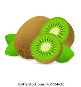 Whole kiwi fruit with slices isolated on white background. Realistic vector illustration.