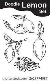 A whole lemon doodle collection in black line art