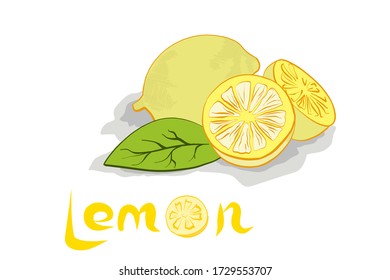 Whole Lemon fruit, lemon slices and leaves on a white background. Vector illustration eps 10.