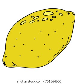 Whole lemon. Hand drawn lemon. Vector illustration of a yellow lemon.