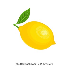 Whole lemon isolated on white background. Vector cartoon flat illustration. Yellow tropical citrus fruit. Food icon.