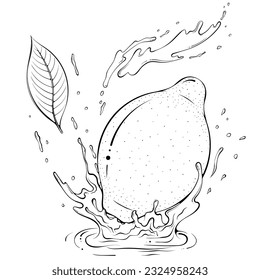 Whole lemon with juice or water splash. Liquid drops. Vector illustration in hand drawn sketch doodle style. Line art ingredient for fresh juice isolated on white. Close up fruit coloring book