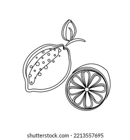 whole lemon line art and sliced ​​lemon
