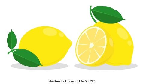 whole lemon with piece of citrus. Lemon with chopped zest and leaves. Color vector in cartoon style isolated on white background