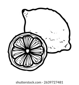 Whole lemon and round slice. Hand drawn doodle vector. Citrus sour fruit. Summer lime. Seasonal vitamin C. Fresh organic food. Berry with juicy pulp for lemonade. Illustration line art element.