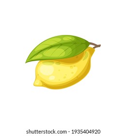 Whole lemon yellow citrus fruit with green leaf isolated icon. Vector tropical citron, ripe sour fruit in zest, organic exotic lemonade and tea ingredient. Juicy lemon with foliage in realistic design