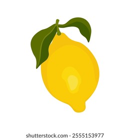 Whole lemon. Yellow citrus fruit with green leaves cartoon style, flat ripe organic sour healthy food, natural summer vegetarian ingredient. Vector isolated illustration.