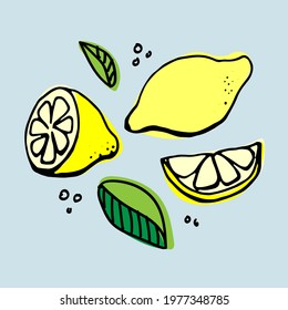 Whole lemons, halves and wedges. Yellow flowers with green leaves on a blue background. Vector