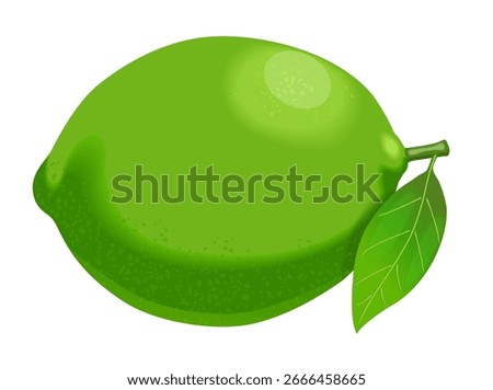 Whole lime fruit. Fresh lime. Vibrant tropical plant with textured shiny skin. Whole lime fruit. Fresh lime. Vibrant tropical plant with textured shiny skin. Stock photo © 