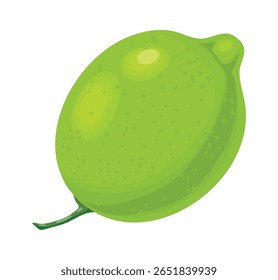 Frutos inteiros de lima, com caule que apresenta textura e cor verde-viva, isolados sobre fundo branco, representando frescura, saúde e sabor cítrico