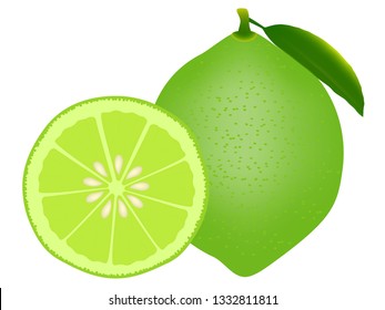 Whole lime and half isolated on white background. 