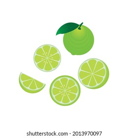 Whole lime, half with seed and slice isolated on white background. Vector illustration.