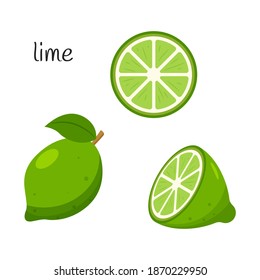Whole lime with leaves, half and slice. Citrus fruit icon. Flat design. Color vector illustration isolated on a white background