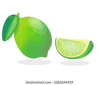  Whole lime, sliced lime stylised vector set