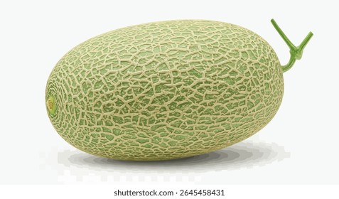 Melão inteiro longo com caule natural, isolado sobre fundo transparente