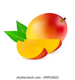 Whole mango fruit and his sliced segments isolated on white background. Realistic vector illustration.