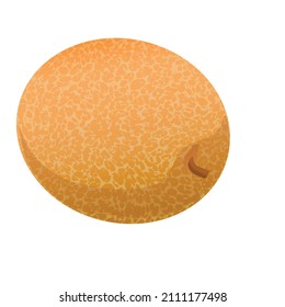 Whole melon icon cartoon vector. Sweet fruit. Oriental muskmelon