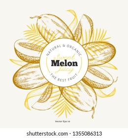 Whole melon and a pieces of melon design template. Hand drawn vector exotic fruit illustration. Engraved style fruit banner. Vintage botanical frame.