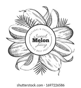 Whole melon and a pieces of melon design template. Hand drawn vector exotic fruit illustration. Engraved style fruit banner. Retro botanical frame.