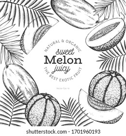 Whole melon and a pieces of melon design template. Hand drawn vector exotic fruit illustration. Engraved style fruit banner. Retro botanical frame.