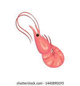 Whole not peeled shrimp. Vector illustration on white background.