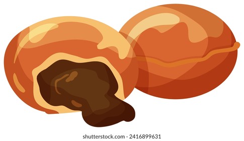 Voller Nutmeg und einhalb mit Kernel. Detaillierte Gewürzgrafik, organische Konservierung. Kochen und Würzen, Vektorgrafik.