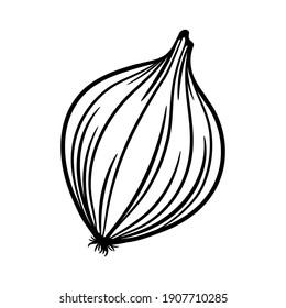 Whole onion bulb with roots. Onion isolated on white. Sketch illustration.