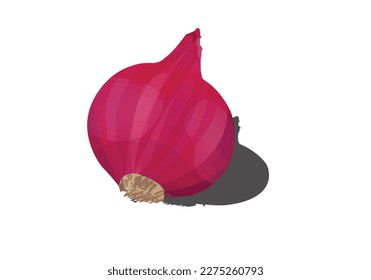  Whole onion and cut onion. Flat simple green onion and red onion design  on white background.