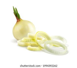 Whole onion and cut into rings. Vector illustration.