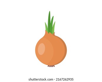 A whole onion with green leaves illustration.  Yellow onion icon. 