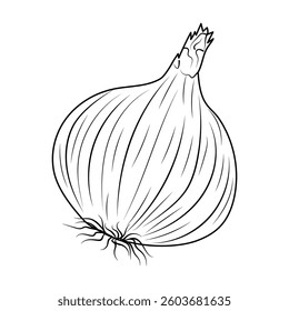 A whole onion, highlighted on a white background, in the style of line art. Black and white vector illustration of a vegetable.