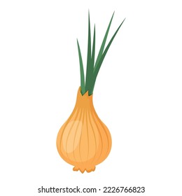 Whole onion in husk with green stems isolated on white background. Unpeeled ripe vegetables. Healthy organic food. Natural raw veggie. Vector flat illustration