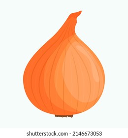 Whole onion isolated on background. Flat vector illustration