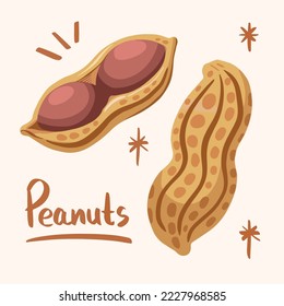 Ilustración vectorial de dos cacahuetes completa y abierta sobre fondo plano. Dibujo de comida con caricatura de estilo de arte plano sobre fondo liso.