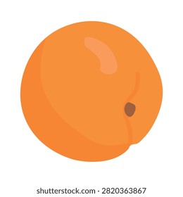 Whole orange apricot fruit viewed from the side showing the bottom dimple. Fresh sweet organic stone fruit isolated on white background.