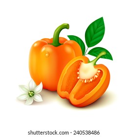 Whole orange bell pepper (bulgarian) with half, flower and leaves isolated on white background. Realistic vector illustration.