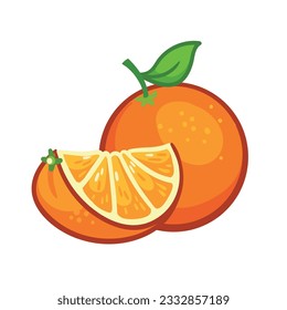 Whole orange and its cut slice on a white background. Vector illustration with fruit in cartoon style.