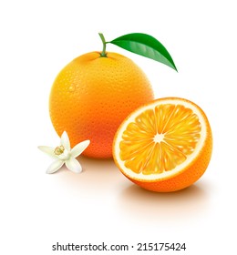 Whole orange fruit with leaf, half and flower isolated on white background. Vector illustration