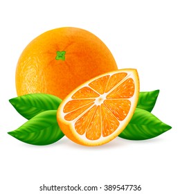 Whole orange fruit with slices isolated on white background. Realistic vector illustration.