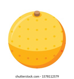 Whole orange icon. Isometric of whole orange vector icon for web design isolated on white background