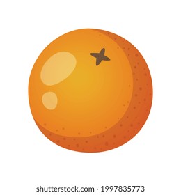 Ganzorange auf weißem Hintergrund, Cartoon, Vektorgrafik